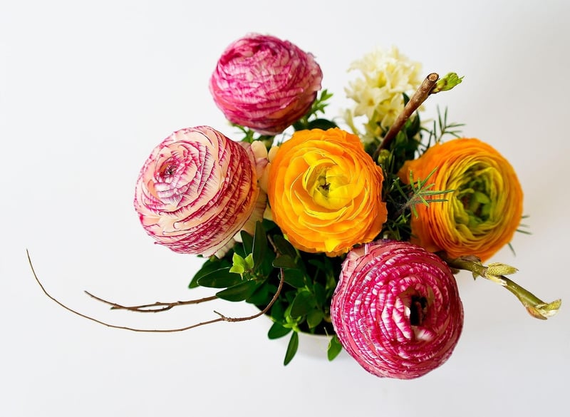 Moonlit Arrangements