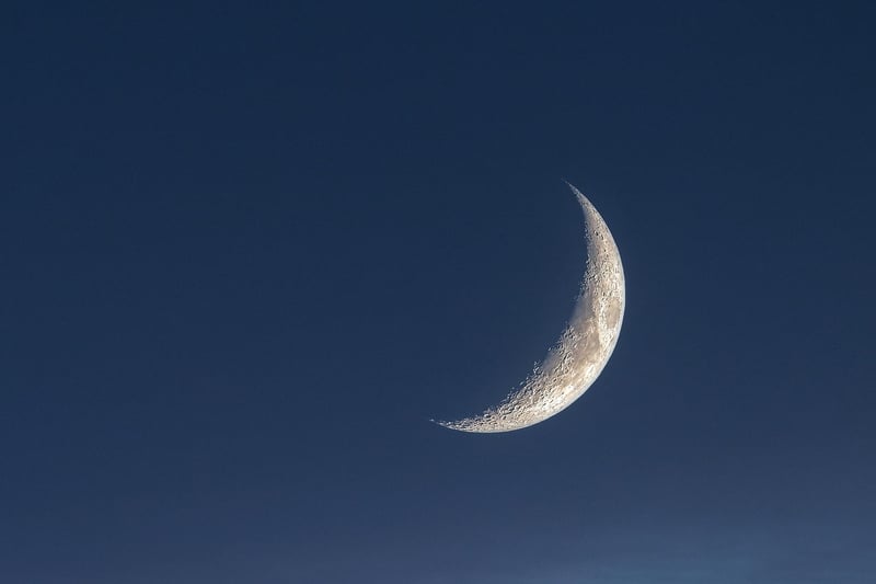 Moonlit Wedding